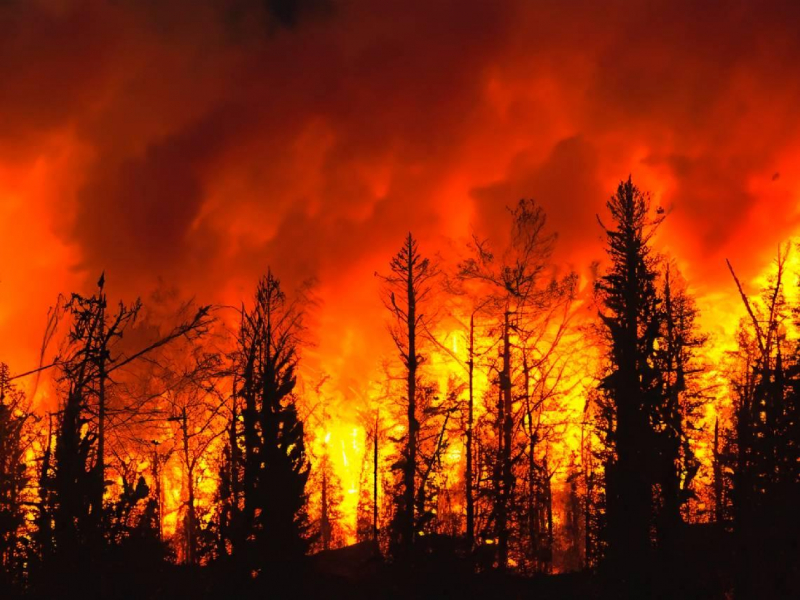 洛杉磯野火為何燒不停？學者揭6大關鍵：籲名嘴們別再唱衰加州「中共也沒那麼無敵」